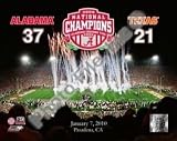 Alabama Crimson Tide NCAA 8x10 Photograph 2009 National Championship Stadium Shot