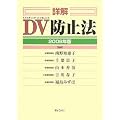 詳解 DV防止法 2008年版