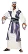 Adult Arabian Desert Prince Costume - Adult Std.