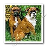 image link - - B000LJM7WY