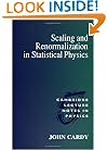 Scaling and Renormalization in Statistical Physics (Cambridge Lecture Notes in Physics)