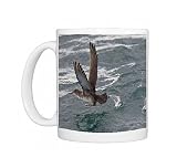 Balearic Shearwater - in flight - running on the sea to take off Photo Mugs