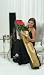 One Dozen 4ft Tall Fresh Cut Roses