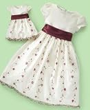 Cinderella Little Girl Satin and Organza Dress