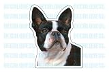 Pet Supplies : BOSTON TERRIER - Dog Decal - sticker car got lover gift
