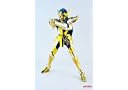 Galactic Nebula Ex Myth Cloth Aquarius Camus Saint Seiya figure + Hyoga head