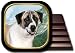 Anatolian Shepherd Coaster Set