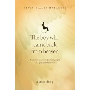 The Boy Who Came Back from Heaven