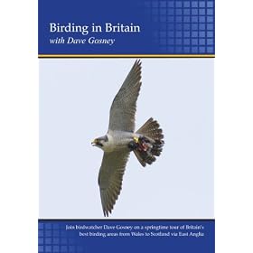 Birding in Britain (PC)