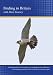 Birding in Britain (PC)