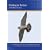 Birding in Britain (PC)