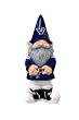 Villanova University Garden Gnome