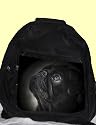 Rucksack Mops schwarz