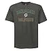 NFL Miami Dolphins Heart And Soul II Adult Short-Sleeved Basic Tee