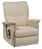 NexIdea MOD7 3-Position Electric Motorized Lift and Recline Chair, Desert Sand