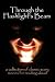 Through the Flashlights Beam:...