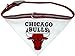 NBA Pet Collar Bandana, Large, Chicago Bulls