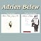 Adrian Belew Foto 2
