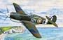 P-40B Warhawk Pearl Harbour 1-32 by Trumpeter