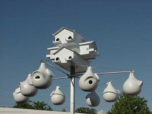 Add-A-Rack - Mounts Underneath 8 Gourds