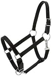 Royal King Draft Horse Stable Halter