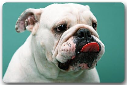 Cute Interesting Bulldog Baby Non-woven Fabric 23.6"(L) x 15.7"(W)Machine-washable Indoor/Outdoor/Shower/Bathroom Doormat
