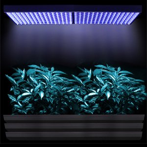 Extraordinary 450 High Power Blue White LED Plant Grass Herb Flower Growing Grow LED Light Lamp Panel