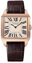 Cartier Santos Dumont w2006951