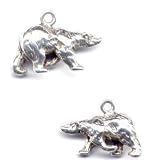 Polar Bear Charm Sterling Silver Jewelry Gift Boxed