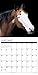 2016 Paint Horses Wall Calendar