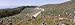 Trees Felled on a Hillside, Vancouver Island, West Coast, British Columbia, Canada Photographic Poster Print by Panoramic Images, 60x20