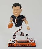 CHICAGO BEARS REX GROSSMAN #8 ON FIELD BOBBLEHEAD