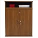 Ameriwood Industries 656-XX - Carina Collection 2- Door Cabinet with Pull-Out Open Sh...