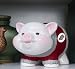 Ohio State University Piggy Bank