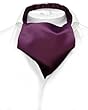 Vesuvio Napoli ASCOT Solid EGGPLANT PURPLE Color Cravat Men's Neck Tie