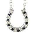 10K White Gold Sapphire and Diamond Horse Shoe Pendant with 18