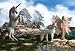 Schleich - Welt der Elfen - Bayala - 70426 Feya stehend 70420 Einhorn Fohlen ...