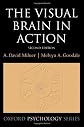 The Visual Brain in Action (Oxford Psychology Series)