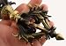 ~ Tibetan Buddhist Brass (Vajra) Nine Spokes Dorje ~ image 1