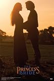 The Princess Bride People Poster Print, 24x36