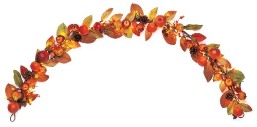 GKI Bethlehem Lighting 6-Foot 50 Clear Light Magnolia Twig Rattan Harvest Garland
