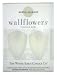 Bath & Body Works Exotic Coconut Wallflowers Fragrance Bulbs 2 pk - .8 oz each- by The White Barn Candle Co.