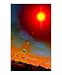 Alien World 3 Scenic Photographic Poster Print by Harveys Art, 8x10