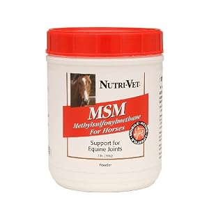 Nutri-Vet MSM Joint Support for Horses