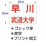 ��N�i�N�T�N���j���������p�_���[�b�P���i�v�����g���H�j32�~25cm �S�V�b�N�� �Ԏ� JT63225GOR