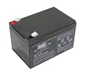 12Ah MK SLA Mobility Scooter Battery