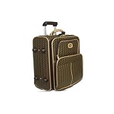 Aristo Brown Small Luggage by Rioni Designer Handbags & Luggage 41dmHJJdCbL. SL160 Aristo Brown Small Luggage by Rioni Designer Handbags & Luggage