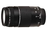 Canon EF 75-300mm f/4.0-5.6 III Lens