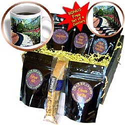 Ohio University - Tulips - Coffee Gift Baskets - Coffee Gift Basket by 3dRose LLC