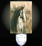 War Painted Horse Decorative Night Light